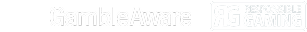 18+ GambleAware